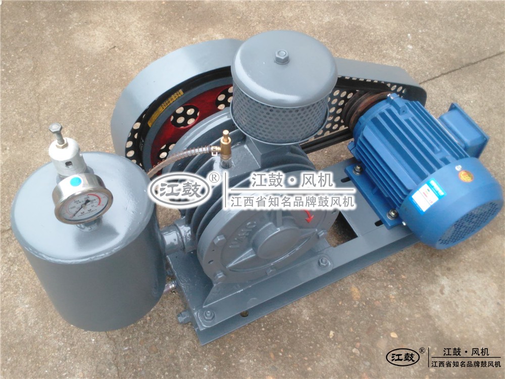 江西綠城羅茨鼓風(fēng)機(jī)有限公司
