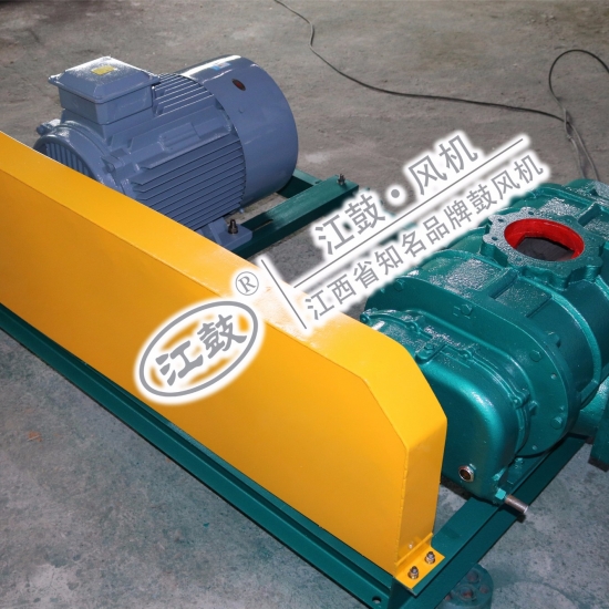 羅茨真空泵負壓羅茨鼓風機JGSR-V-50