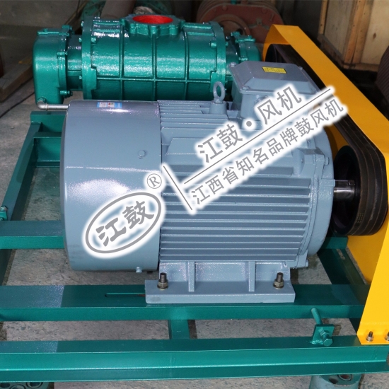 羅茨真空泵負壓羅茨鼓風機JGSR-V-50